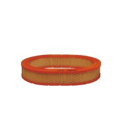 FILTRON AE 344 Фильтр воздушный