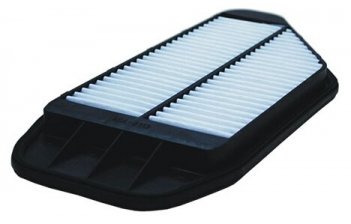 FILTRON AP 082/9 ( C 36 013) Фильтр воздушный
