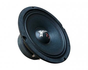Ural TT-165 Акустика RMS (пара)